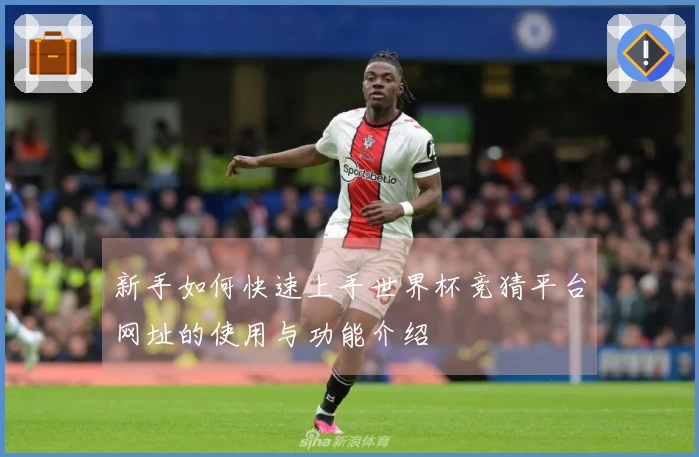 新手如何快速上手世界杯竞猜平台网址的使用与功能介绍