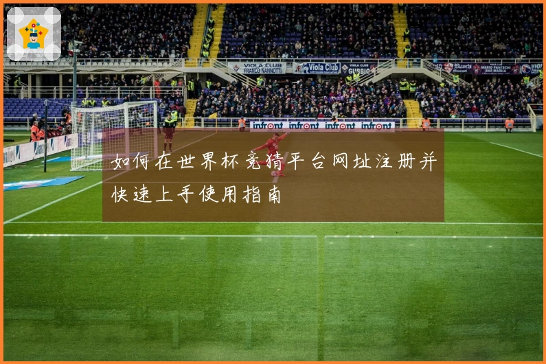 如何在世界杯竞猜平台网址注册并快速上手使用指南