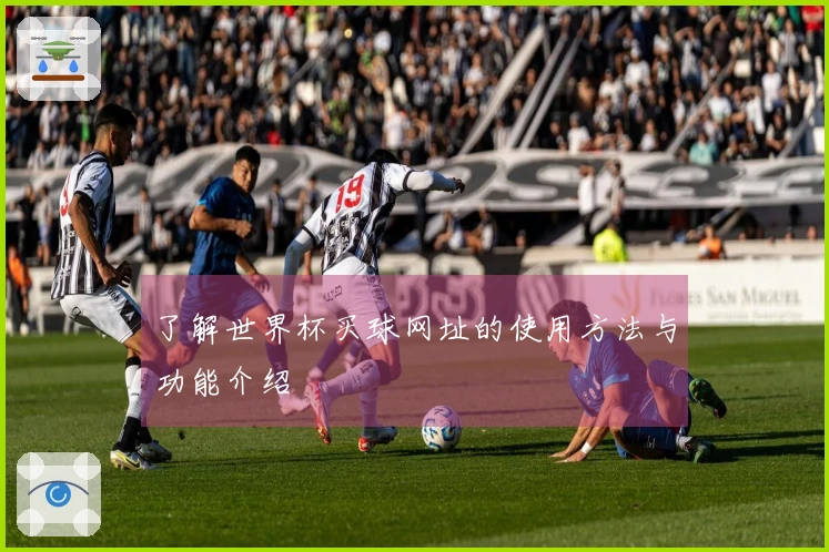 了解世界杯买球网址的使用方法与功能介绍